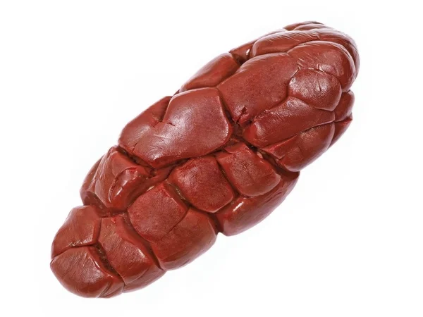 Beef kidney.Isolated. — Stock Photo, Image