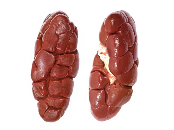 Two beef kidneys.Isolated. — Stock Photo, Image