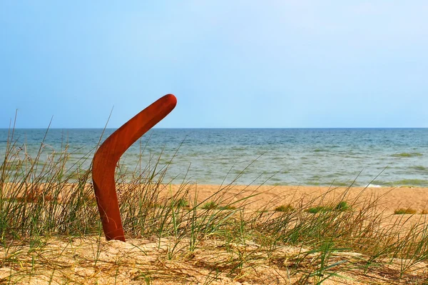 Bruin boomerang op overwoekerd zandstrand. — Stockfoto