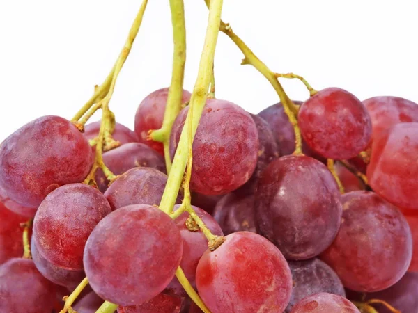 Juicy pink grape. — Stock Photo, Image