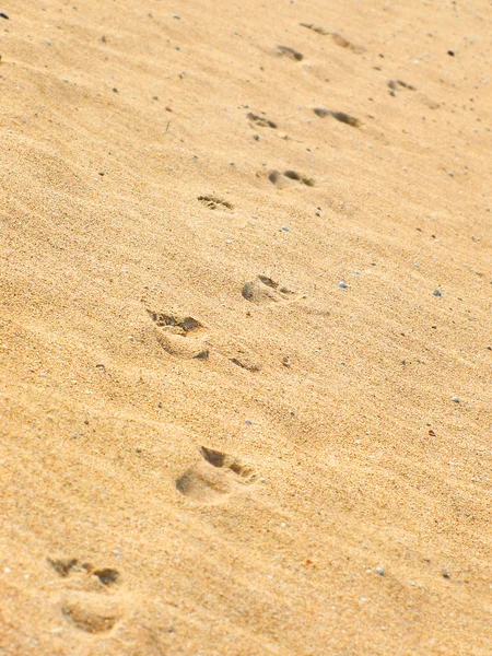 Menselijke sporen op het geel zand. — Stockfoto