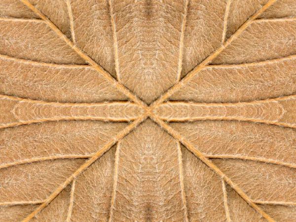 Yellow autumn leaf symmetrical texture — Stock Photo, Image