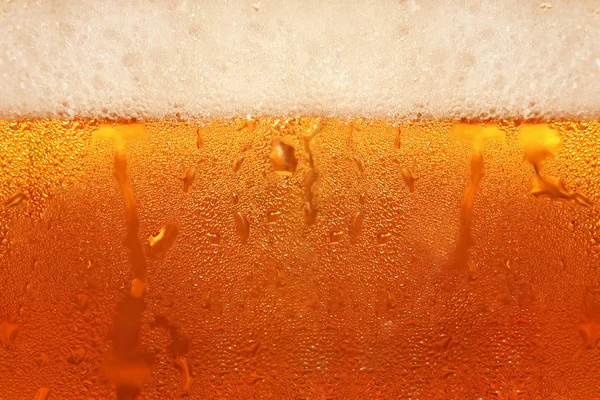 Bira Köpüğü.