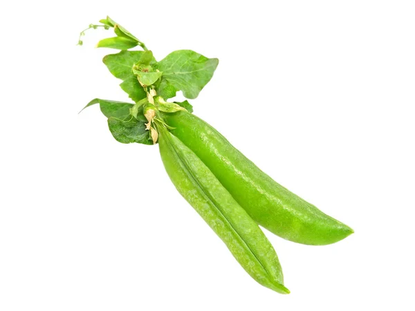 Green peas.Isolated. — Stock Photo, Image