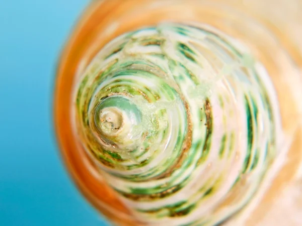 Nacreous seashell.Closeup. — Stock Photo, Image