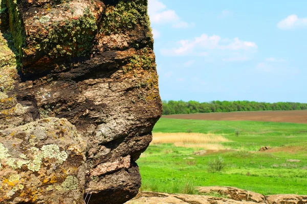 Stary rock z Lichenia i mech przeciwko łąka i niebieski niebo. — Zdjęcie stockowe