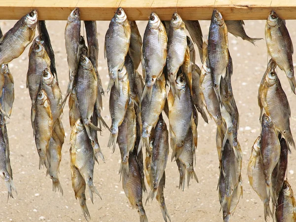 夏季海滩上出售干的鱼. — 图库照片