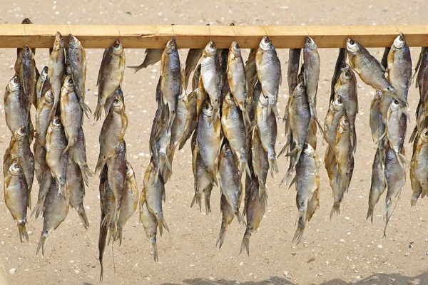 Peixes secos pendurados num feixe de cruzamento . — Fotografia de Stock