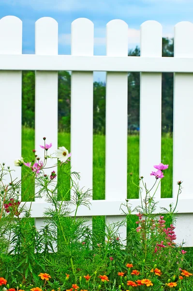 Witte hek op groene gras en bloemen. — Stockfoto