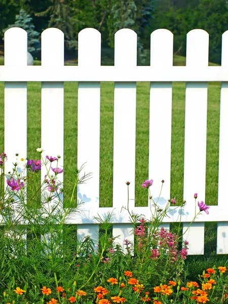 Witte hek op groene gras en bloemen. — Stockfoto