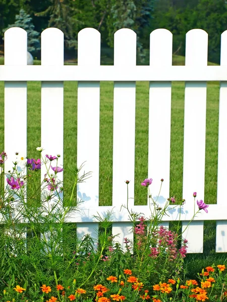 Cerca branca na grama verde e flores . — Fotografia de Stock