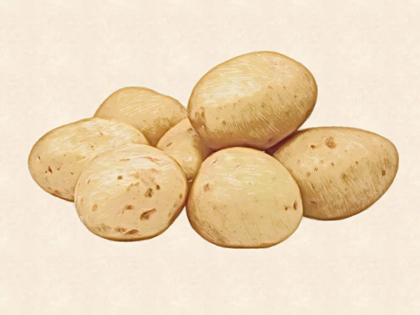 Čerstvé brambory. — Stock fotografie