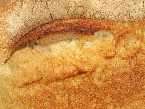 Apetitiva corteza de pan fresco . — Foto de Stock