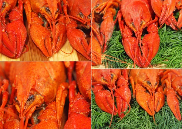 Collage van rode gekookte crawfishes genomen closeup.food achtergrond. — Stockfoto