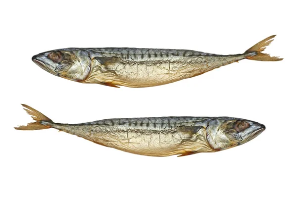 Pisces.Two cooked mackerel.Isolated . — стоковое фото