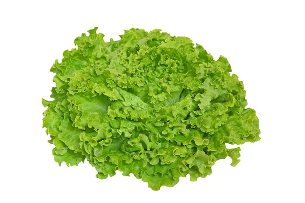 Green Lettuce Oak Salad Isolated White Background — Stock Photo, Image
