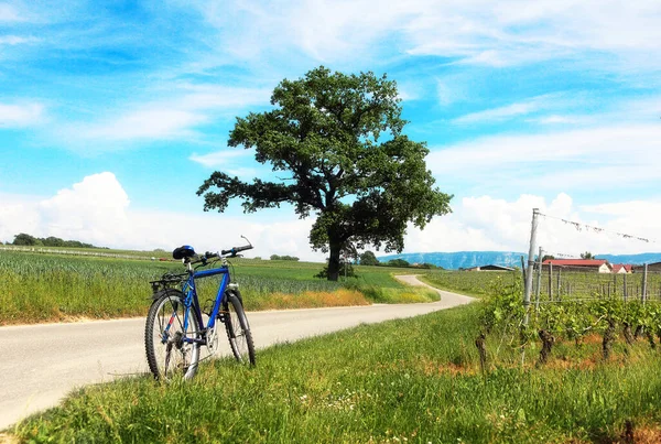 Mountain bicycle on a country road against the backdrop of a picturesque rural landscape in Geneva area, Switzerland.