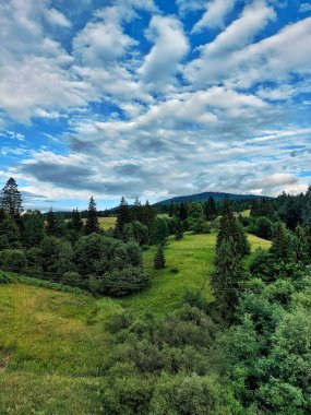 Telefondaki fotoğraf, doğa ve dağlar.