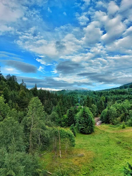 Photo on the phone, nature and mountains