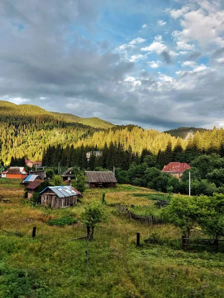Photo on the phone, nature and mountains