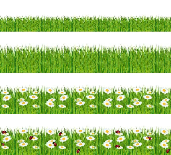 绿色的草、 瓢虫和雏菊带。前景矢量集合. — 图库矢量图片