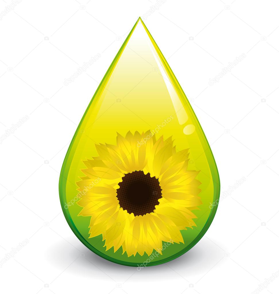 Biodiesel sunflower oil droplet vector