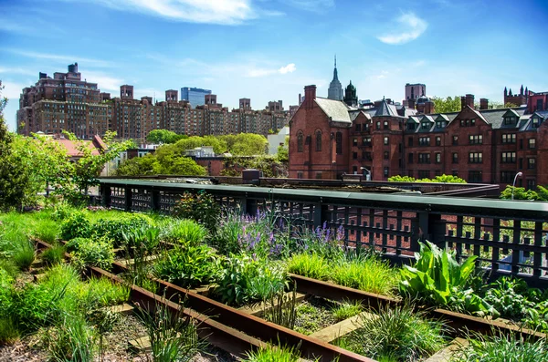 Hoge lijn. stedelijk openbaar park op een historische goederenvervoer per spoor lijn, new york city, manhattan. — Stockfoto