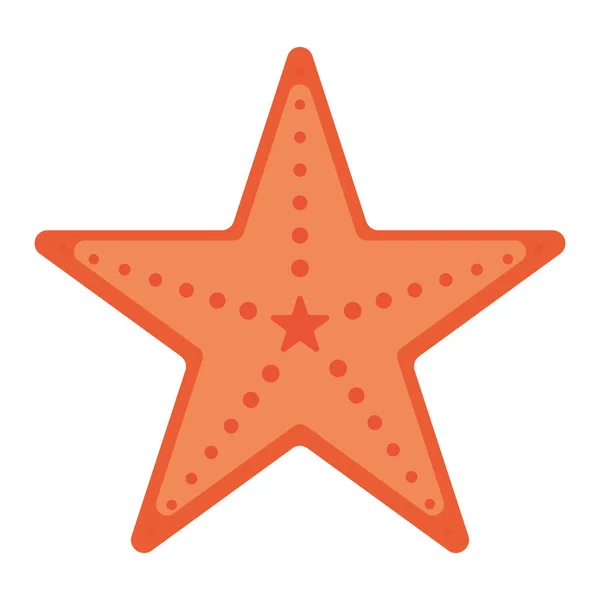 Ilustración Estrellas Mar Color Naranja Coral Dibujo Vectorial — Archivo Imágenes Vectoriales