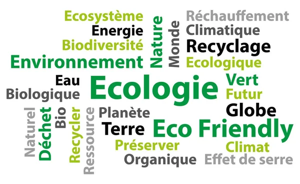 Ecology Environment French Langauge Vector Word Cloud — 图库矢量图片