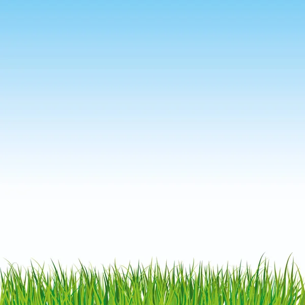 Green Grass Blue Sky Background Vector Illustration — Stock Vector