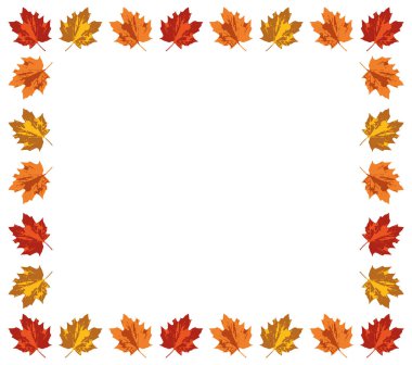 Sonbahar renkli yapraklar. Vektör sonbahar çerçevesi.