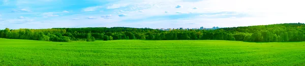 Sommaren panorama med staden i skogen — Stockfoto