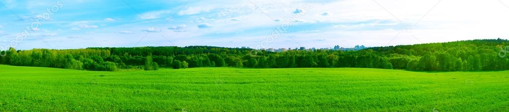 Summer Panorama with City in the Forest