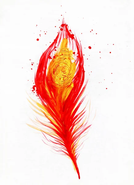 Watercolor Image of Red Peacock Feather — Stock Photo, Image