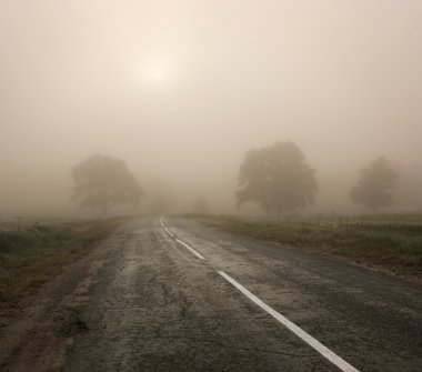 ağaçlar ve yol sis sonbahar manzara