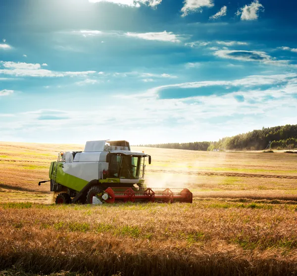 Harvester op een tarweveld combineren — Stockfoto