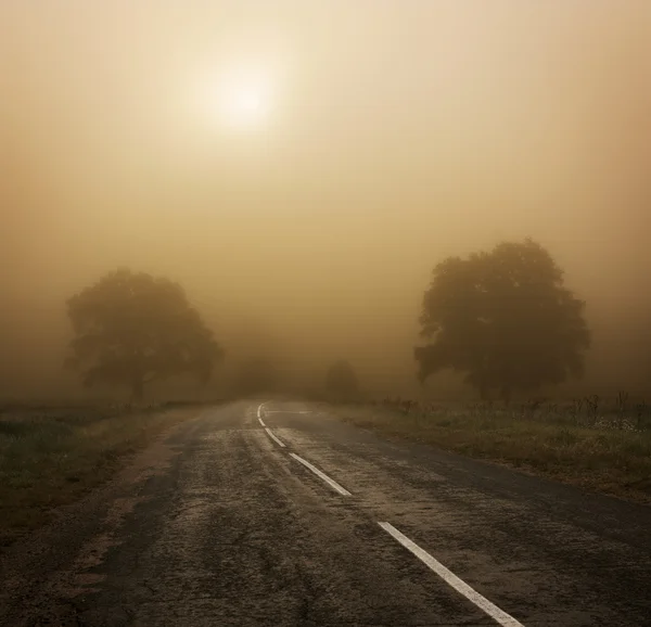 Paisaje otoñal con árboles y carretera en niebla — Foto de Stock