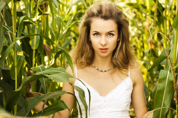 Blond kobieta w polu kukurydzy — Zdjęcie stockowe