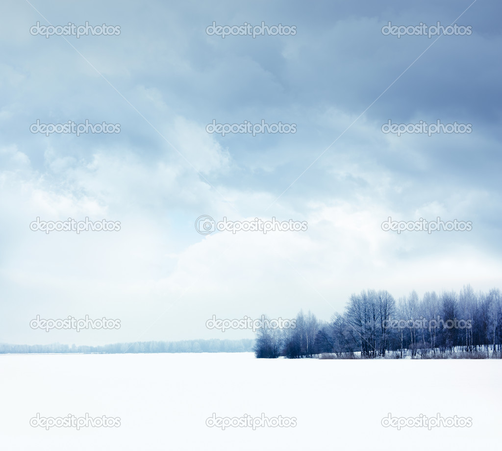Winter Landscape with Snowy Field and Moody Sky