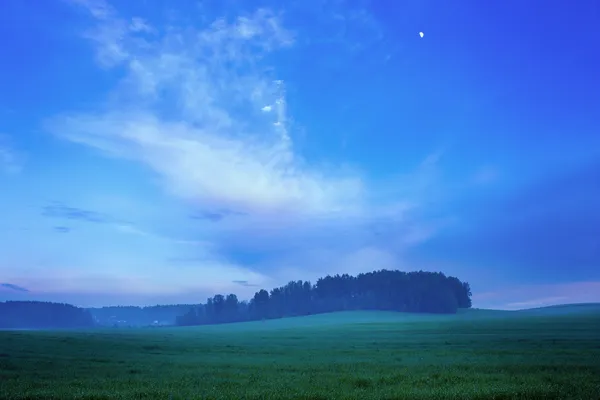Paysage rural avec champ au crépuscule — Photo