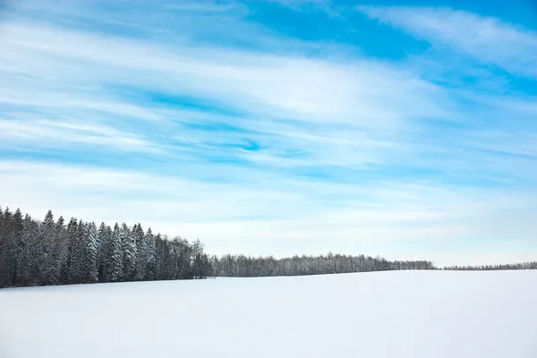 Vinterlandskap med snötäckta fält och blå himmel — Stockfoto