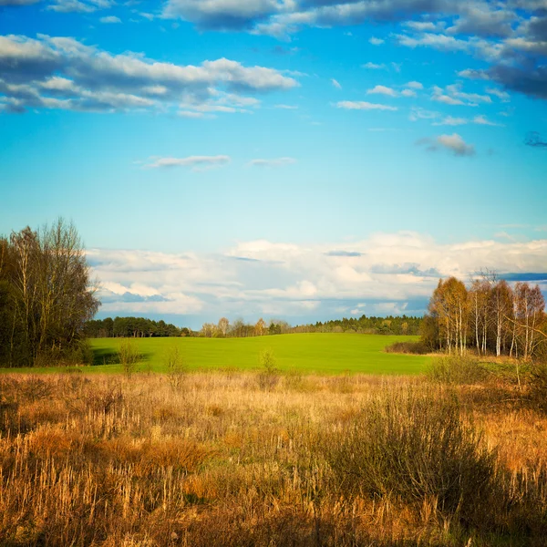 Vackra landskap. Vitryssland landsbygden. — Stockfoto