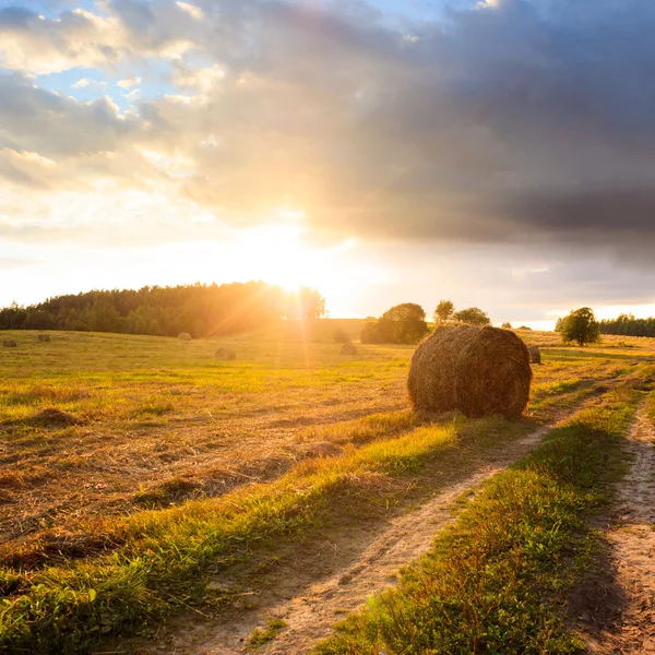 Летнее поле с сеном на закате — стоковое фото
