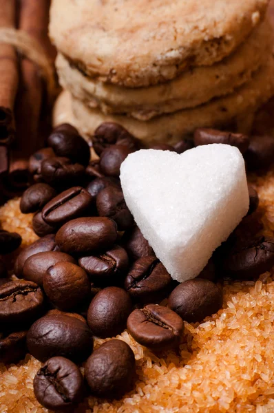 Kakaobohnen und brauner Zucker lizenzfreie Stockbilder
