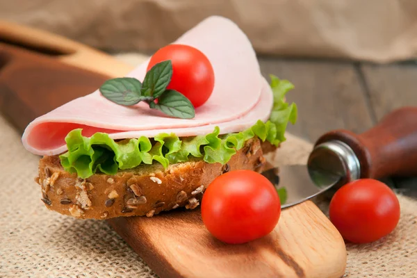 Tasty fresh sandwich — Stock Photo, Image