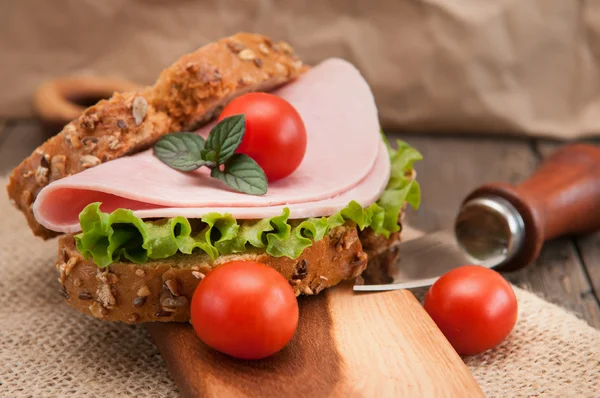 Tasty fresh sandwich — Stock Photo, Image