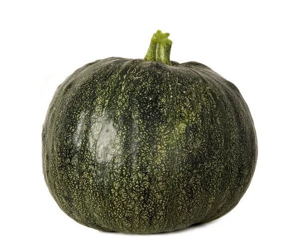 Green pumpkin on white background — Stock Photo, Image