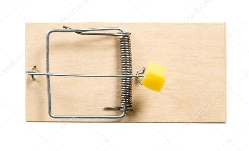 A mouse trap with cheese