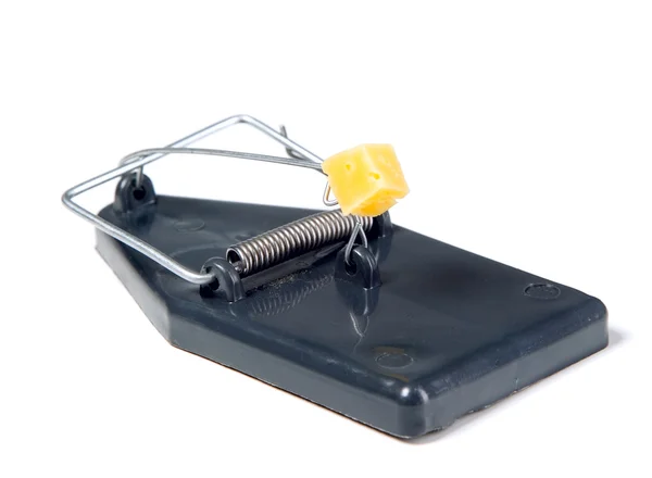 Mouse trap with cheese — Stock Photo, Image