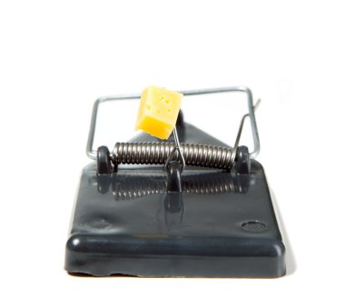 A mouse trap with cheese clipart